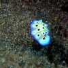 739.jpg