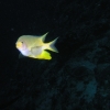 749.jpg