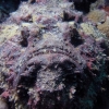 775.jpg