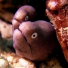 581.jpg