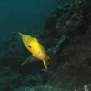 589.jpg