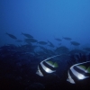 Helengeli (Maldives) 