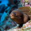Bonaire 