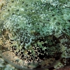 868.jpg